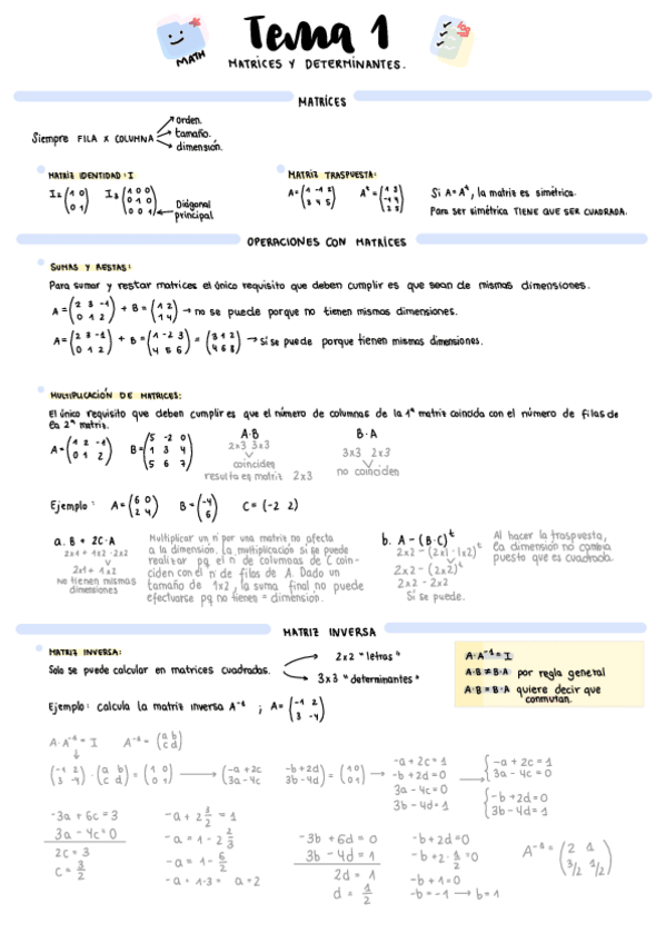Miniatura del documento Matrices-Y-Determinantes.pdf