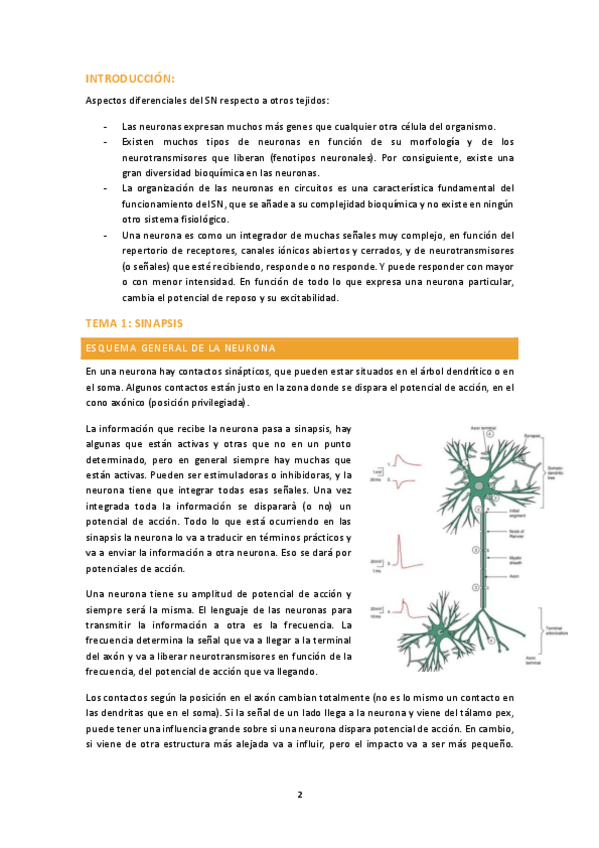 Miniatura del documento fisio-animal-II-1r-parcial-complet.pdf