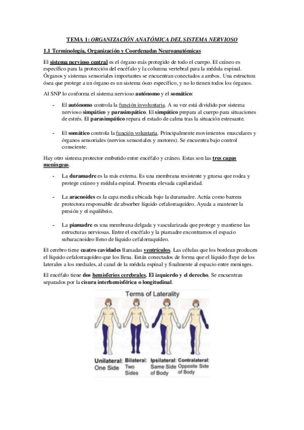 Miniatura del documento RESUMEN-PRIMER-PARCIAL.pdf
