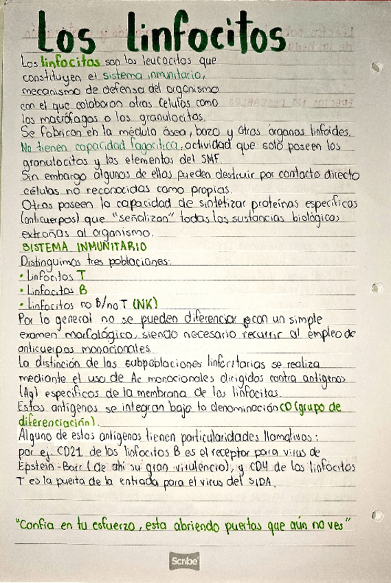 Miniatura del documento LOS-LINFOCITOS.pdf