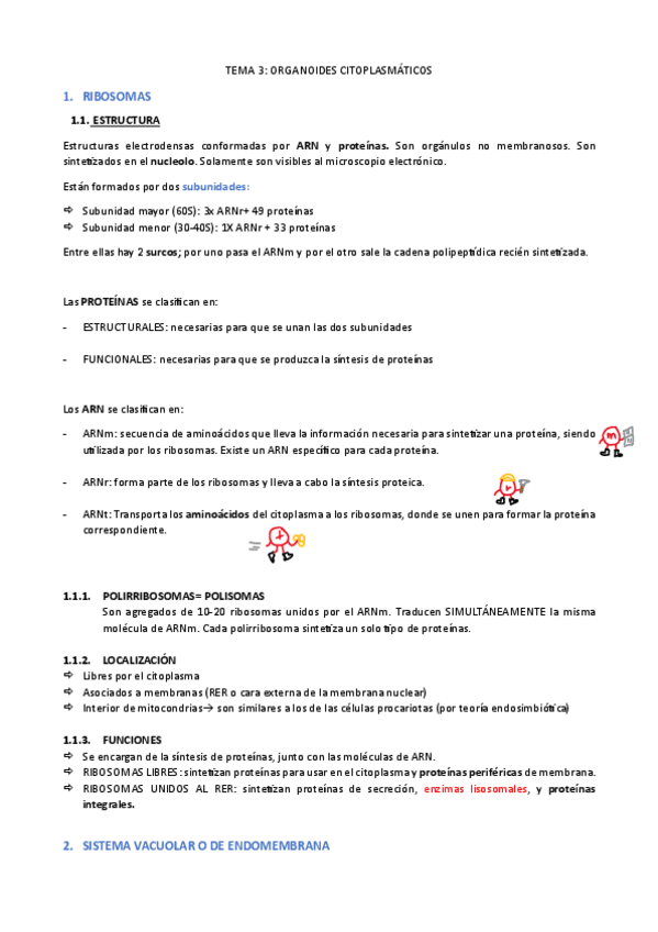 Miniatura del documento EyF I-3.-Organoides-citoplasmaticos.pdf