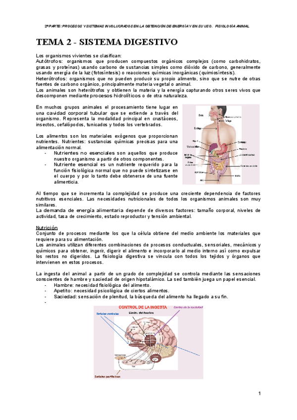 Miniatura del documento FA-TEMA-2-SISTEMA-DIGESTIVO.pdf