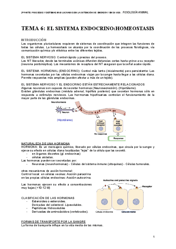 Miniatura del documento FA-TEMA-6-SISTEMA-ENDOCRINO.pdf