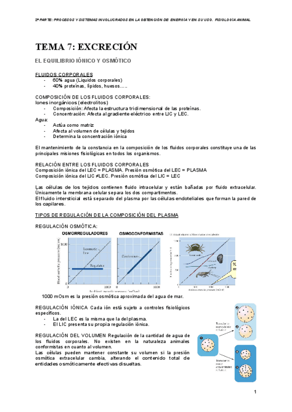 Miniatura del documento FA-TEMA-7-EL-EQUILIBRIO-IONICO-Y-OSMOTICO.pdf