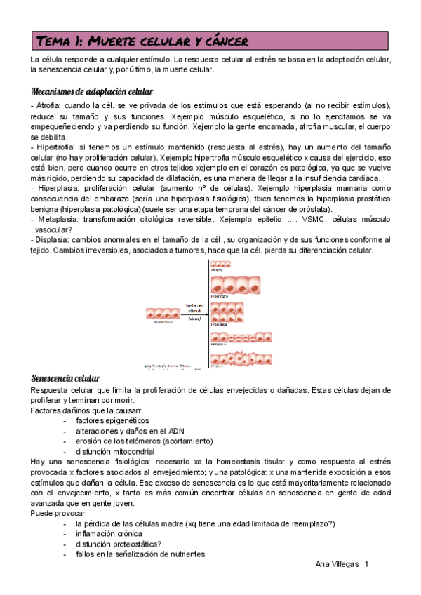 Miniatura del documento TEMA-1.pdf
