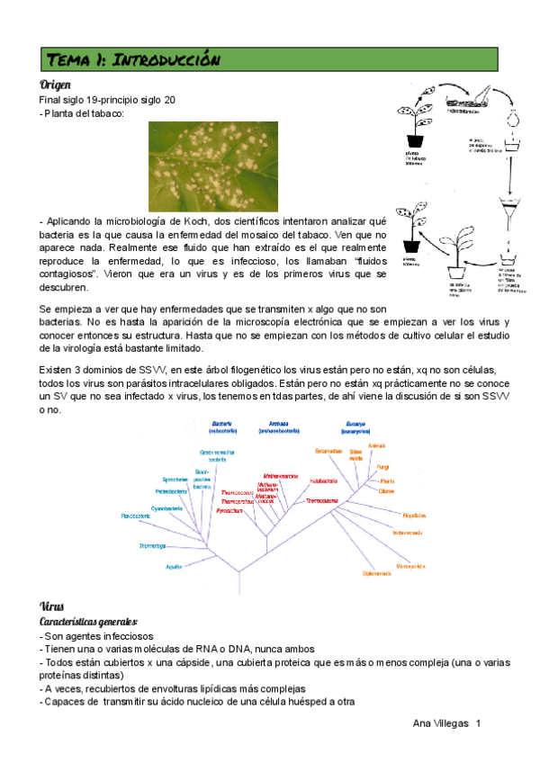 Miniatura del documento VIRO.pdf