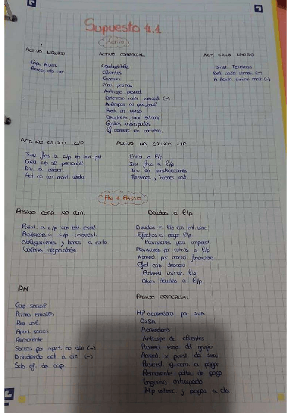 Miniatura del documento supuesto-4.1.pdf