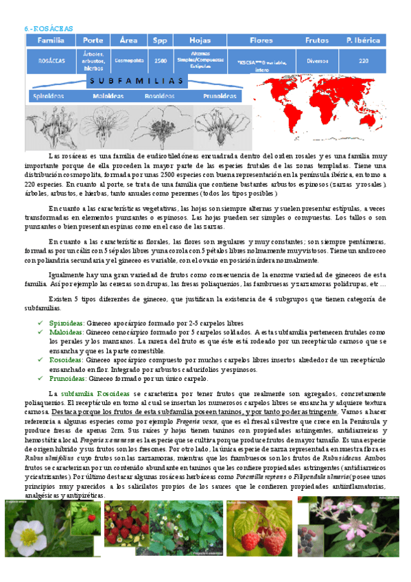 Miniatura del documento rosáceas.pdf