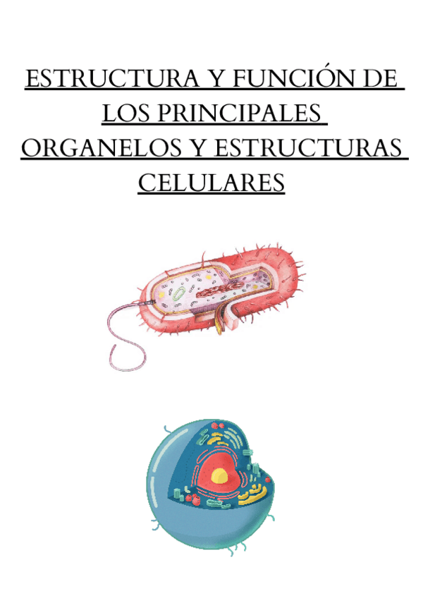 Miniatura del documento PAES-CIENCIAS-BIOLOGIA-APUNTE-1.pdf