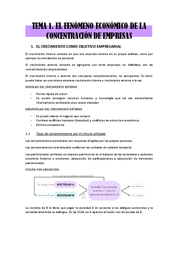 Miniatura del documento TEMA-1.-el-fenomeno-economico-de-la-concentracion-de-empresas.pdf