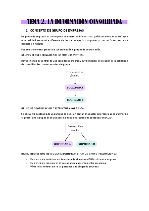 Miniatura del documento TEMA-2.-la-informacion-consolidada.pdf