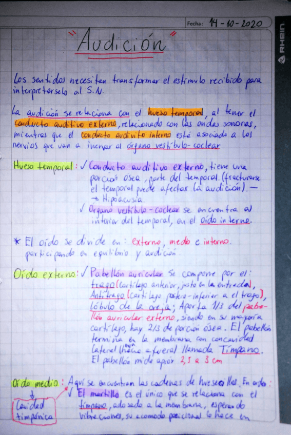 Miniatura del documento Clase-8-Audicion.pdf