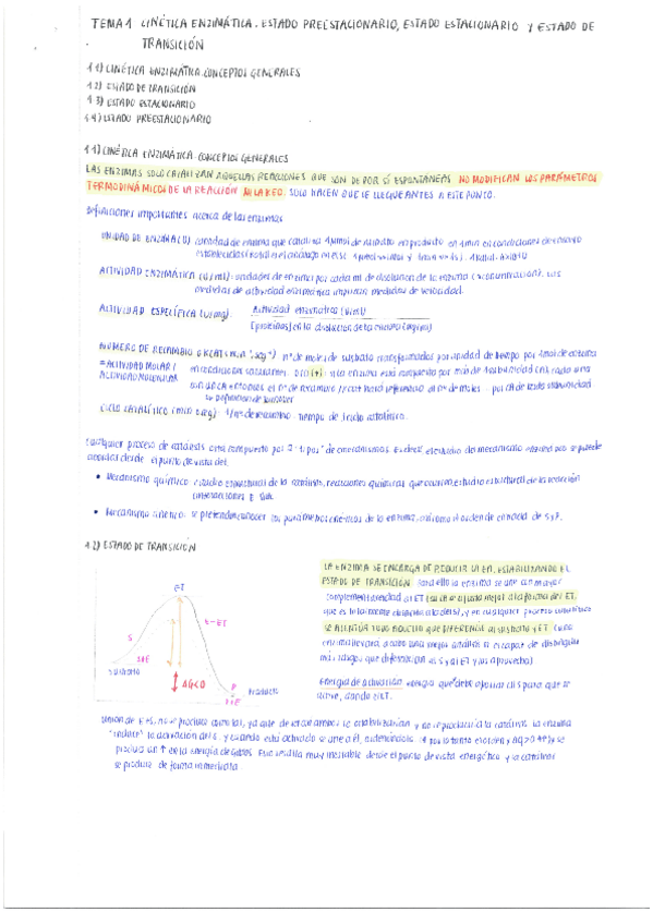 Miniatura del documento 1. Cinética enzimática.pdf