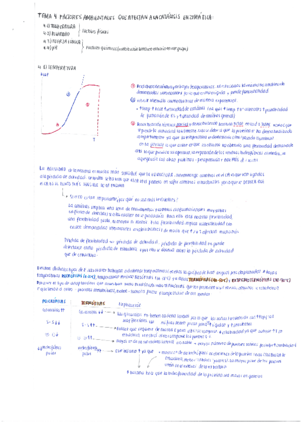 Miniatura del documento 4. Factores ambientales que afectan a la catálisis enzimática.pdf