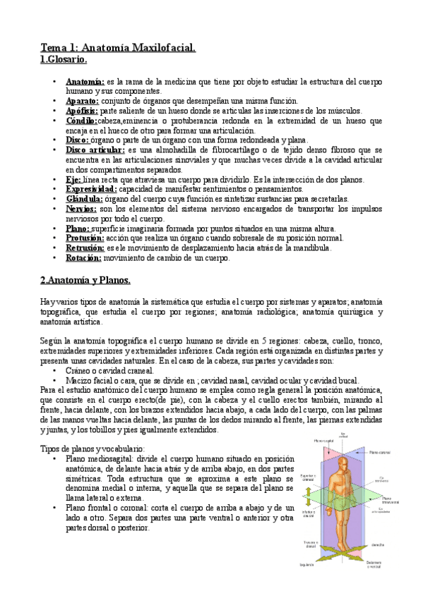 Miniatura del documento TEMA-1.-ANATOMIA-MAXILOFACIAL.pdf