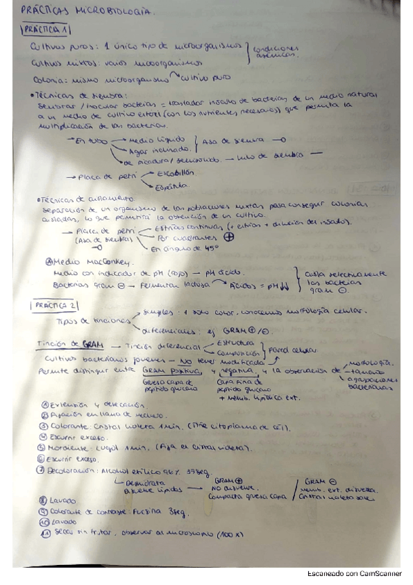 Miniatura del documento resumen-practicas-micro.pdf