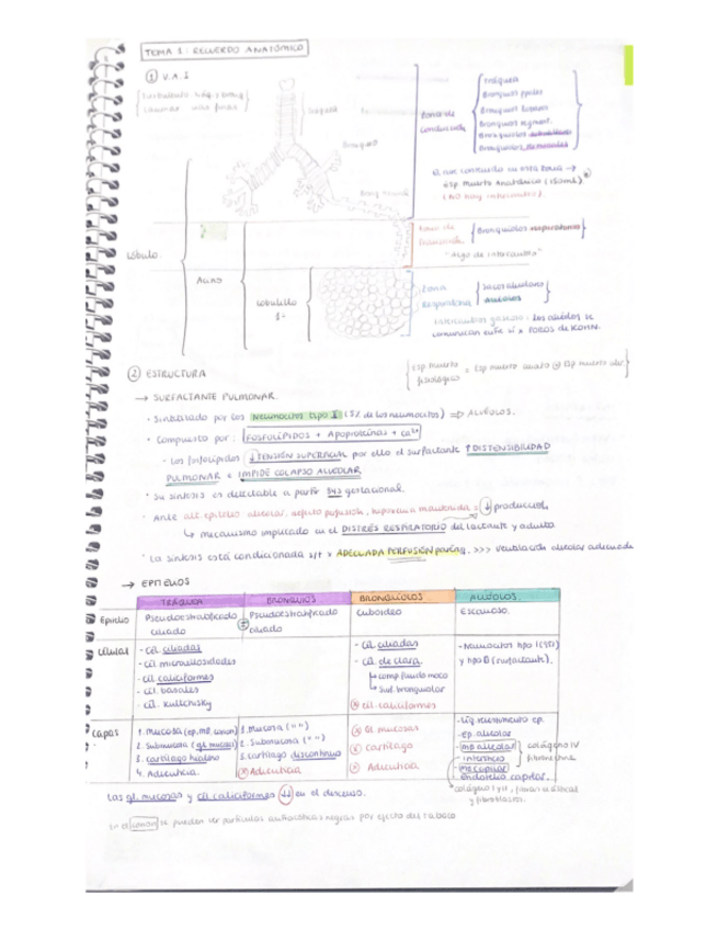 Miniatura del documento Neumo MIR: T1-7.pdf