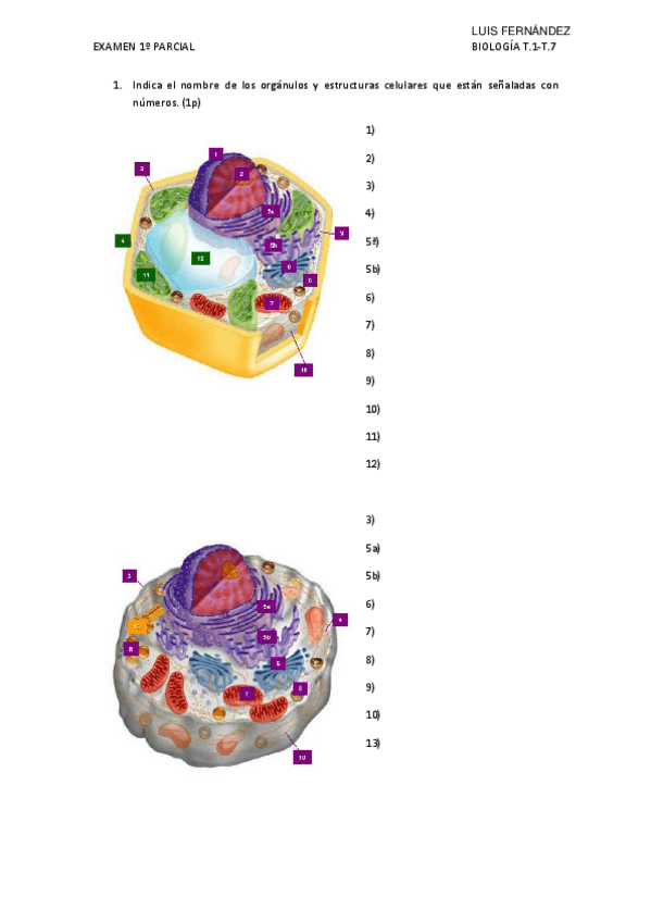 Miniatura del documento Examen-biologia-1er-parcial-1-7.pdf