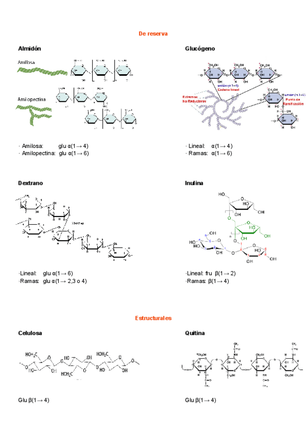 Miniatura del documento Estructuras-importantes.pdf