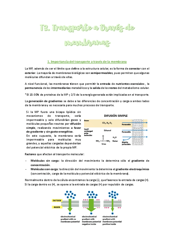 Miniatura del documento T3-Completo.pdf