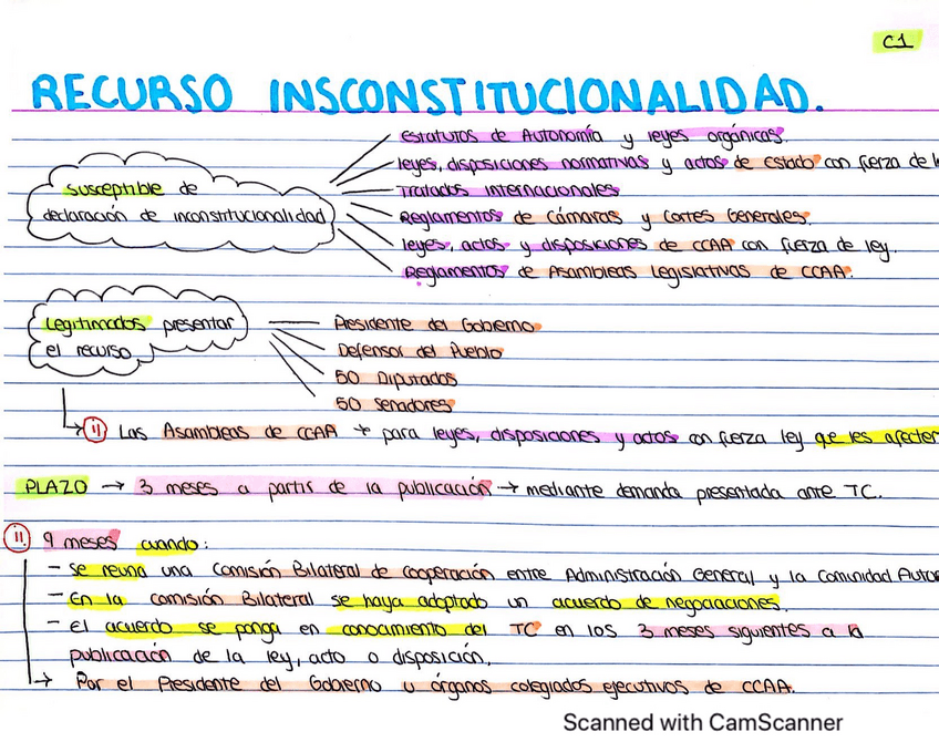 Miniatura del documento Recurso-de-Inconstitucionalidad-y-recurso-de-amparo-color-y-blanconegro.pdf