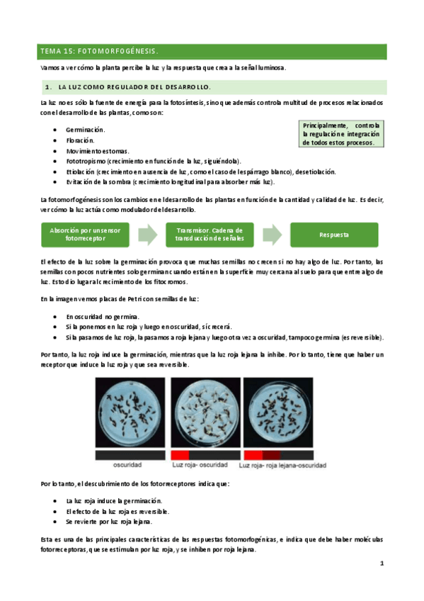 Miniatura del documento TEMA-15.pdf