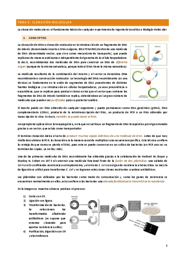 Miniatura del documento TEMA-5.pdf