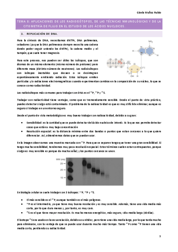 Miniatura del documento T8.pdf
