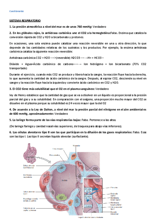 Miniatura del documento Preguntas-de-fisiologia-1er-Parcial.pdf