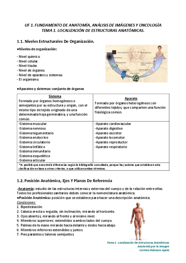 Miniatura del documento RESUMEN-ANATOMIA240110125049.pdf