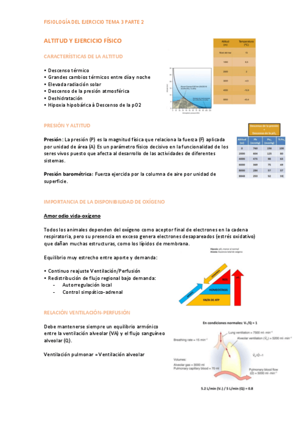 Miniatura del documento T3.Parte-2-ALTITUD.pdf