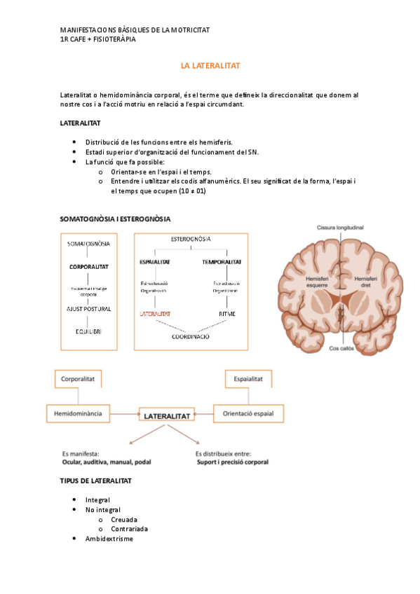 Miniatura del documento LATERALITAT.pdf