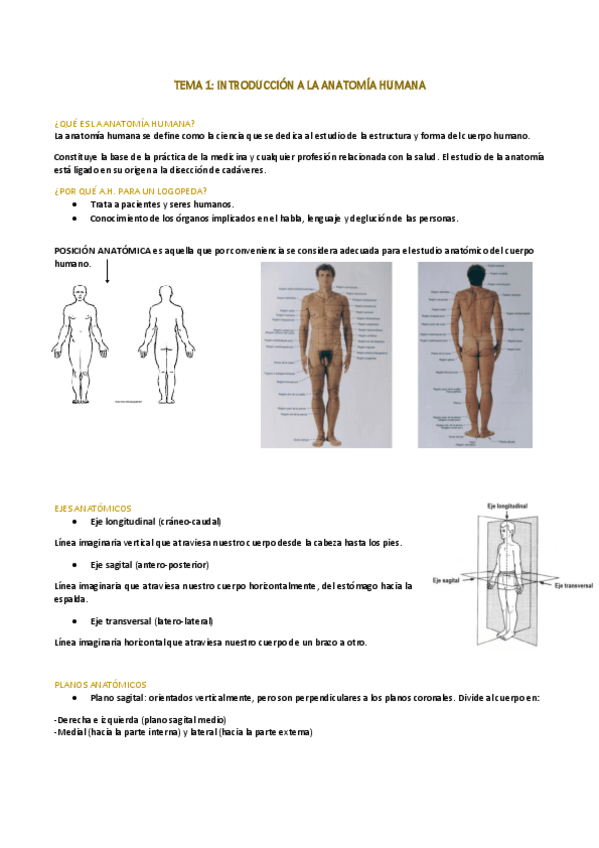 Miniatura del documento TEMA-1.pdf