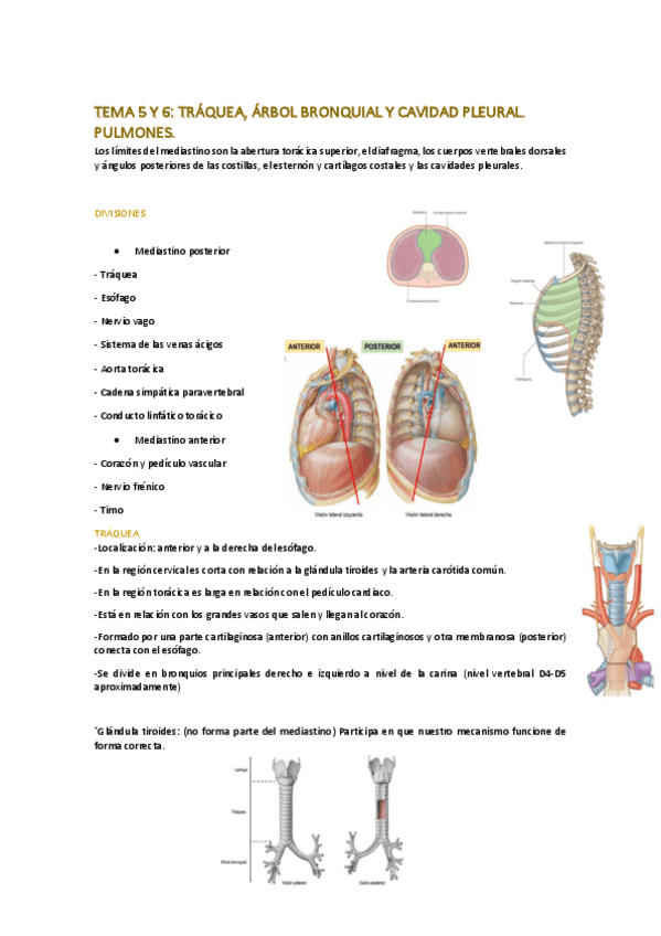 Miniatura del documento TEMAS-5-Y-6.pdf