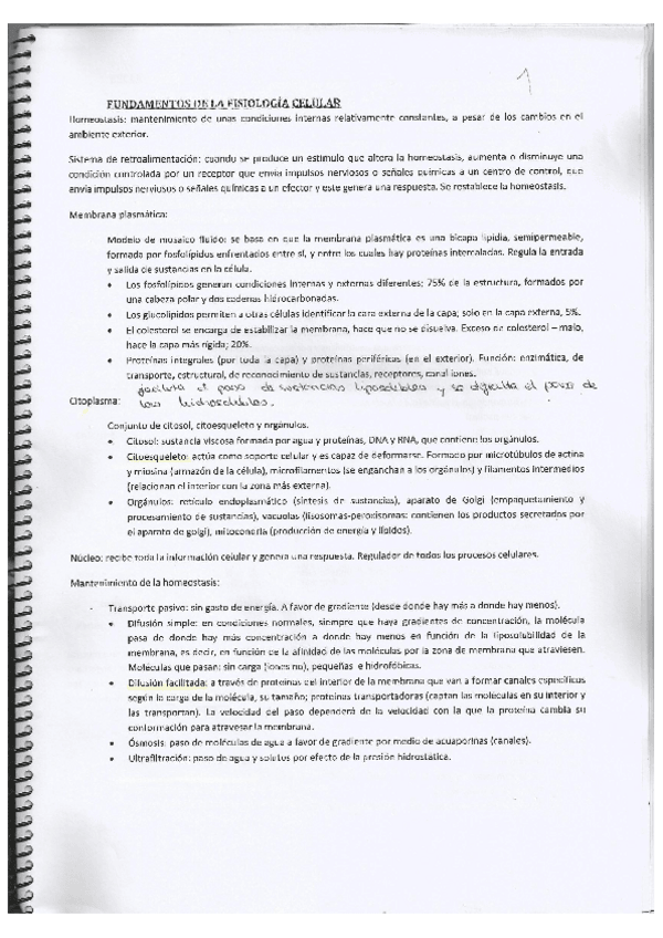 Miniatura del documento Apuntes de Bioftalmologia.pdf