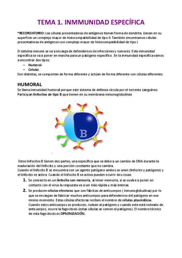 Miniatura del documento Apuntes.pdf