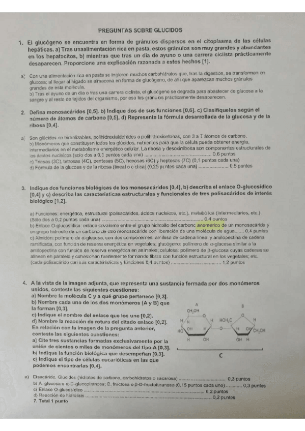 Miniatura del documento Ejercicios-resueltos-Glucidos.pdf