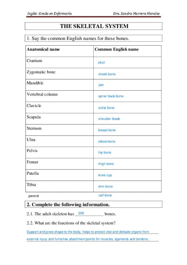 Miniatura del documento P.-AULA-The-skeletal-system.pdf