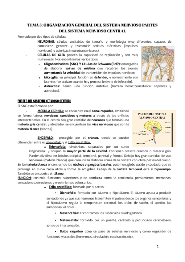 Miniatura del documento TEMA-5.-FISIO.pdf