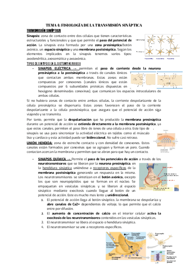 Miniatura del documento TEMA-4.-FISIO.pdf