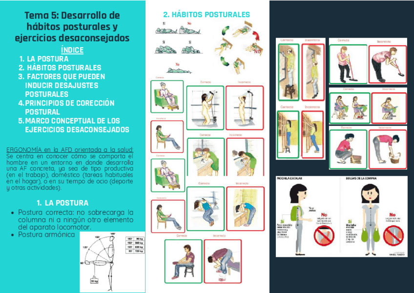 Miniatura del documento Triptico-T5.pdf