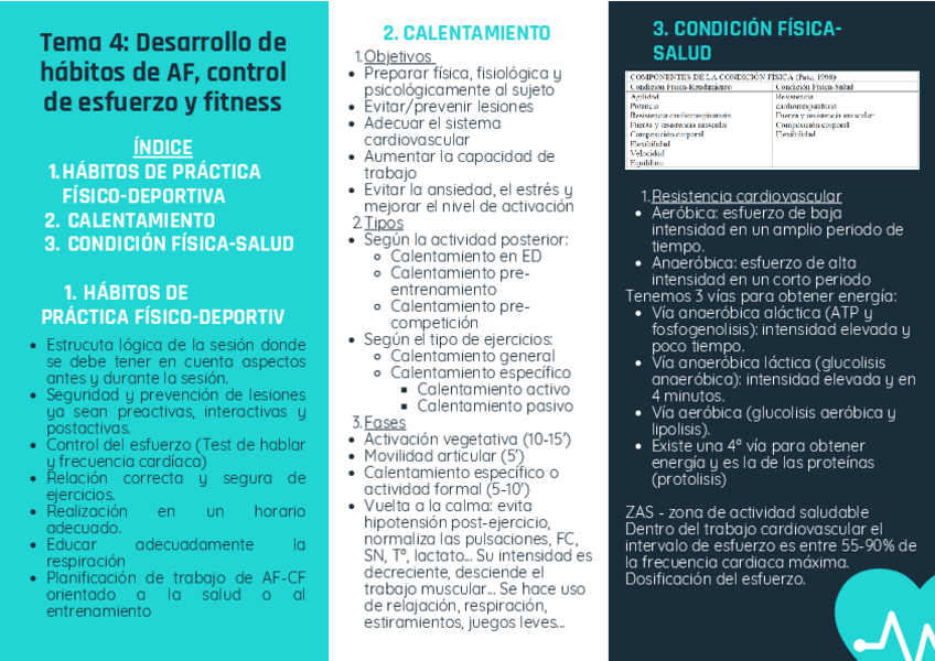 Miniatura del documento Triptico-T4.pdf