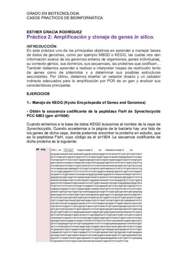 Miniatura del documento Practica-2.pdf