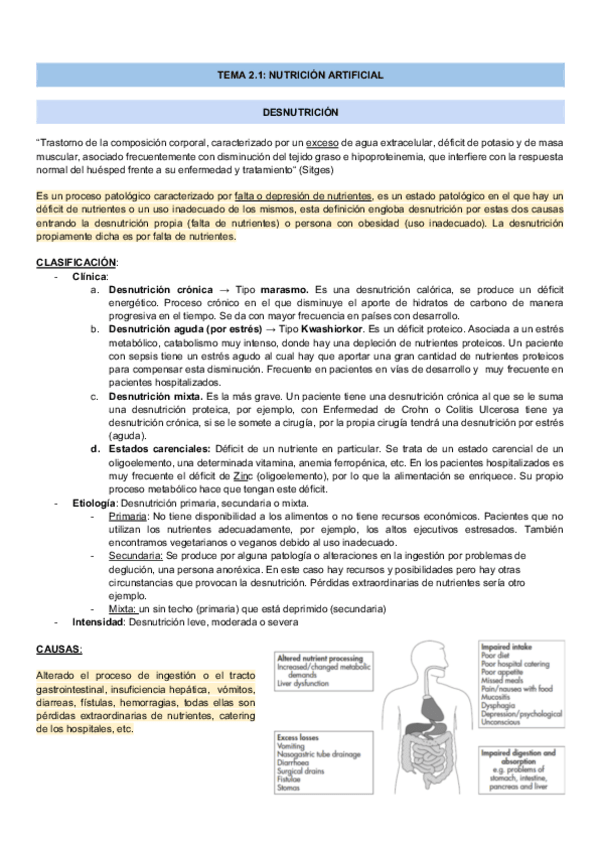 Miniatura del documento TEMA-2.1-NUTRICION-ARTIFICIAL.pdf