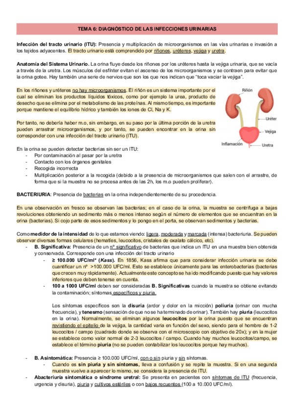 Miniatura del documento TEMA-6-DIAGNOSTICO-DE-LAS-INFECCIONES-URINARIAS.pdf