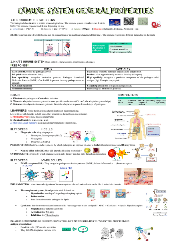 Miniatura del documento 1.Inmune-system-general-properties.docx
