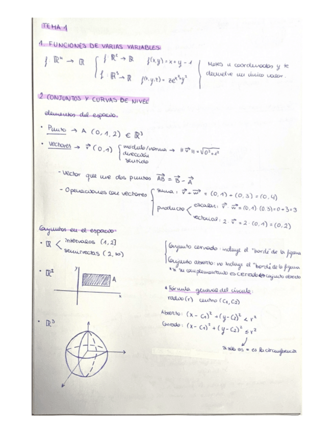 Miniatura del documento Apuntes-tema1-calculo-II.pdf
