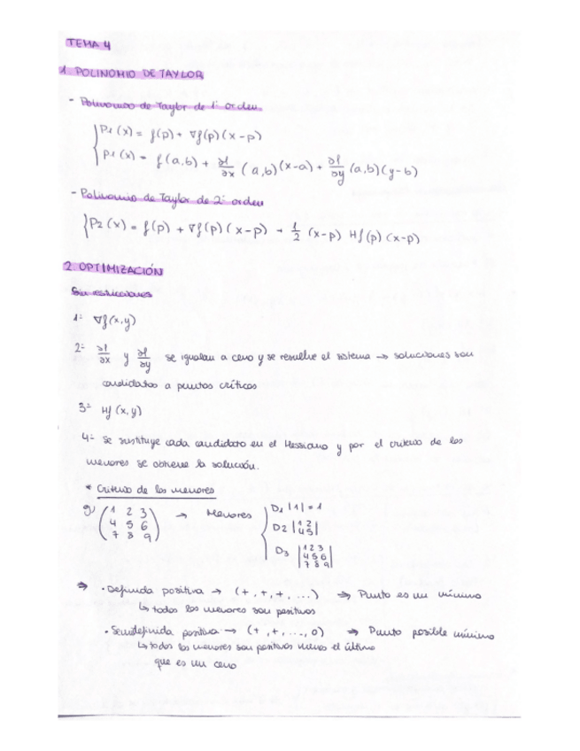 Miniatura del documento Apuntes-tema4-calculo-II.pdf