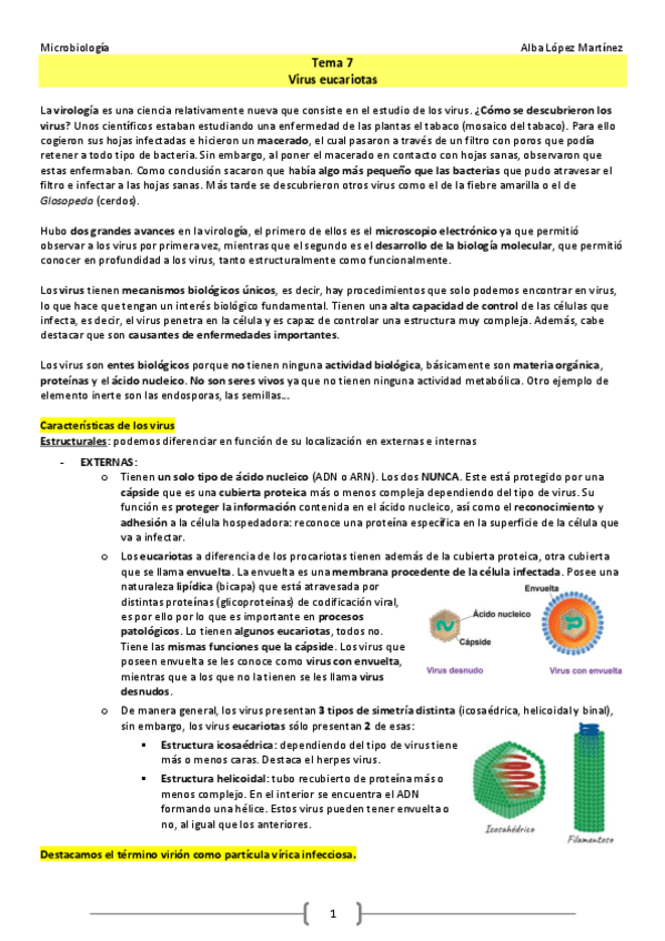Miniatura del documento Virus-eucariotas.pdf