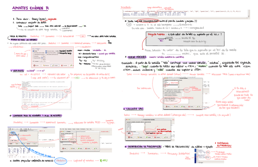 Miniatura del documento Examen-R-apunts-Noe.pdf